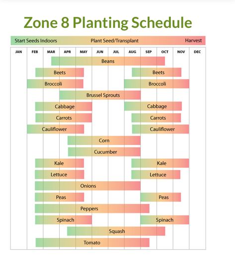 Planting schedule in hardiness zone 8a for Neah Bay, Washington/ Makah Indian Reservation Zone 8 Planting Schedule, Vegetable Planting Calendar, Planting Schedule, Planting Calendar, Vegetable Garden Planning, Gardening Zones, Homestead Gardens, Vegetable Garden Diy, Texas Gardening