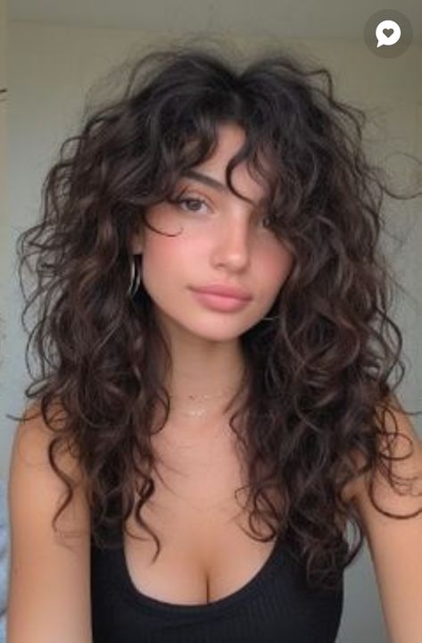 Curly Shag Long Bangs, Curly Hair Styles For Square Face Shape, Curly Hair From The Back, Wolfcut Hair Long Curly, Face Framing Pieces Curly Hair, Long Layered Haircuts Curly Hair, Shag Curly Hair, Wolf Cut Wavy Hair, Curly Mid Length Hair