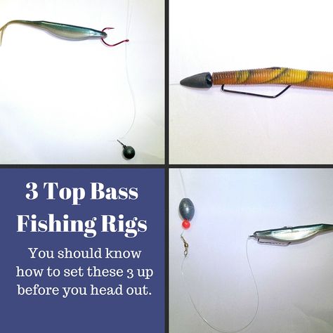 largemouth bass fishing rigs Bass Fishing Rigs, Largemouth Bass Fishing, Fishing Basics, Fishing 101, Small Mouth, Bass Fishing Lures, Bass Fishing Tips, Smallmouth Bass, Bass Boat