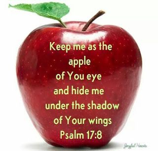 Apple Of Gods Eye, Psalm 17 8, Apple Quotes, Christian Good Morning Quotes, Psalm 17, Kids Sunday School Lessons, God's Eye, Eye Quotes, King James Bible Verses