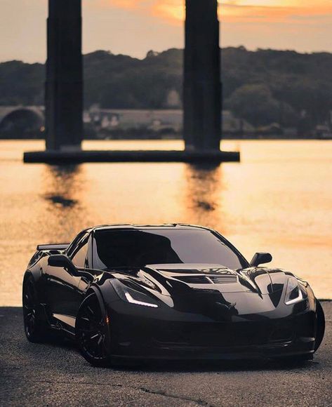 Bunny Photo, Chevrolet Corvette C7, Corvette C6, Corvette C7, Corvette Z06, Fancy Cars, Chevy Corvette, Pretty Cars