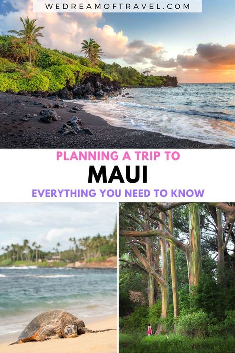 Planning a Trip to Maui: Travel Tips, Itineraries, Hotels & More Haleakala Sunrise, Hawaii Packing List, Hawaii Packing, Maui Itinerary, Maui Hotels, Red Sand Beach, Trip To Maui, West Maui, Maui Travel