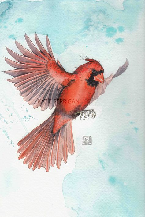 Watercolor Cardinal / painting / Etsy / bird in flight www.kberriganart.com Flying Cardinal Drawing, Northern Cardinal Drawing, Cardinal In Flight Tattoo, Birds In Flight Drawing, Cardinal Flying Drawing, Cardinal Flying Tattoo, Flying Cardinal Tattoo, Bird In Flight Tattoo, Cardinal Paintings