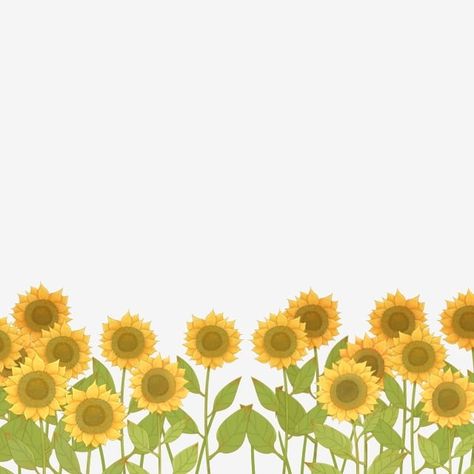 sunflower, cartoon sunflower, hand-painted sunflower, sunflower flower field, sunny flower, lovely sun flower, a sunny flower field Sunflower Field Illustration, Flower Field Cartoon, Sun Flower Background, Sunflower Field Drawing, Sunflower Cartoon, Cartoon Sunflower, Fb Background, Png Material, Flowers Cartoon