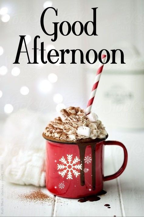 Winter Afternoon Quotes, Good Afternoon Christmas Images, Good Afternoon Christmas, Good Afternoon Images Hd, Gud Afternoon, Daily Sayings, Afternoon Blessings, Afternoon Greetings, Afternoon Messages