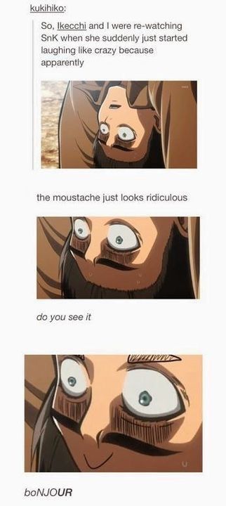 #aot #attackontitan #memes An Anime, Attack On Titan, Memes, Funny, Anime