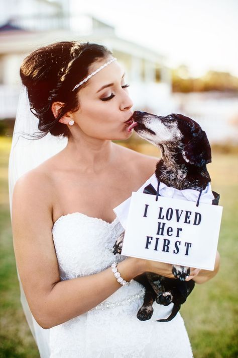 Dogs In Weddings, Wedding Ceremony Signs, Ceremony Signs, Wedding Pets, Future Wedding Plans, Cute Wedding Ideas, A Wedding Dress, Dog Wedding, Wedding Pics