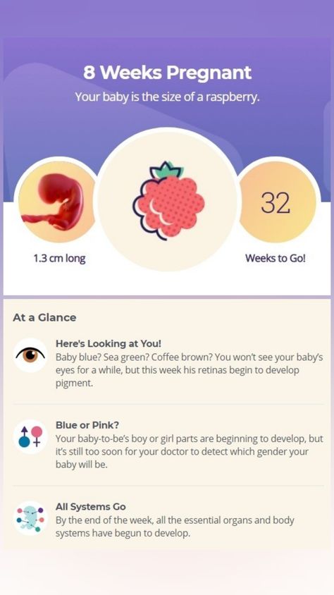 8weeks Pregnant, Week 8 Pregnancy, Baby Fruit Size, 8 Weeks Pregnant, Baby Journal Book, Baby Countdown, Pregnancy Week, Mommy Time, Fetal Development