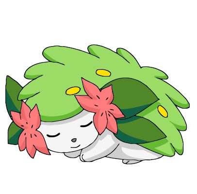 shaymin sooooo cute! Shaymin Tattoo, Shaymin Pokemon Art, Shaymin Art, Shaymin Pokemon, Fox Chibi, Pokemon Giratina, Pokemon Legendary, Wall Drawing Ideas, Grass Type Pokemon