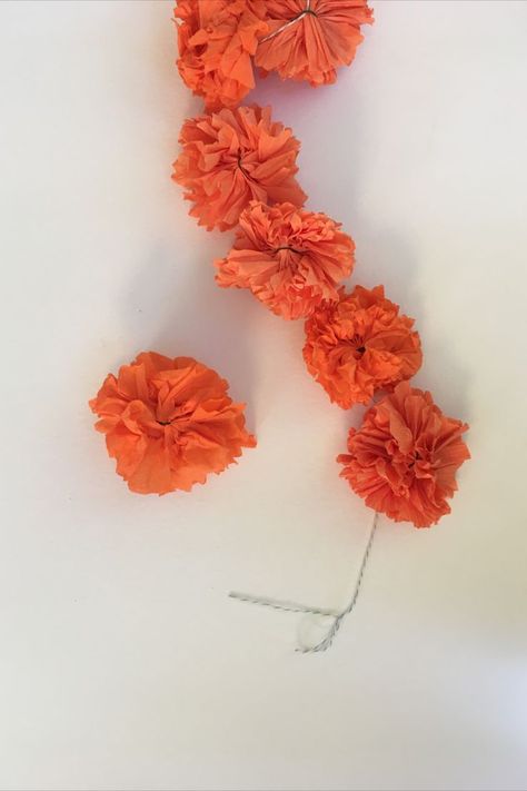 We asked Meenal Patel, author of Priya Dreams of Marigolds and Masala if she could share instructions for making paper marigold garlands like the characters in the book. And she created instructions for Jambo Book Club members! Enjoy making the marigold garlands with your kids and please check out Priya Dreams of Marigolds and Masala. Marigold Garland, Crepe Streamers, Garland Diy, Making Paper, Make Paper, Diy Garland, Crepe Paper, How To Make Paper, Yellow Flowers