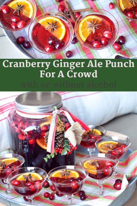 Cranberry Ginger Ale Punch, Punch With Ginger Ale, Ginger Ale Punch, Ginger Ale Drinks, Ginger Ale Cocktail, Cranberry Ginger Ale, Ginger Ale Recipe, Cranberry Lemonade, Thanksgiving Punch