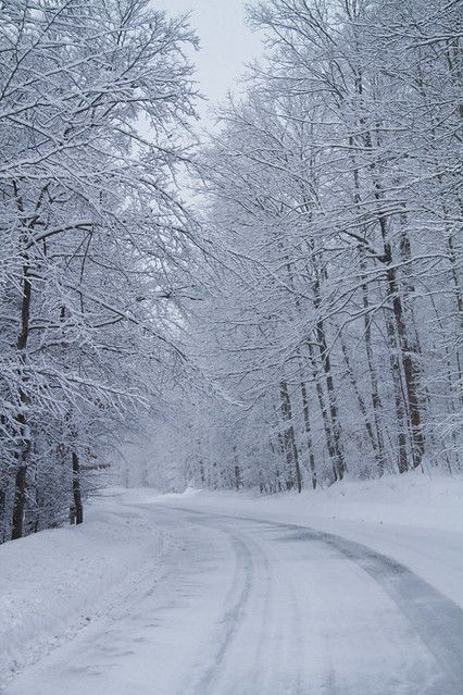 Snow Widget, Perspective Scenery, Snowy Terrain, Snow Picture, Winters Tafereel, Fresh Snowfall, Winter Road, Snow Pictures, Winter Love