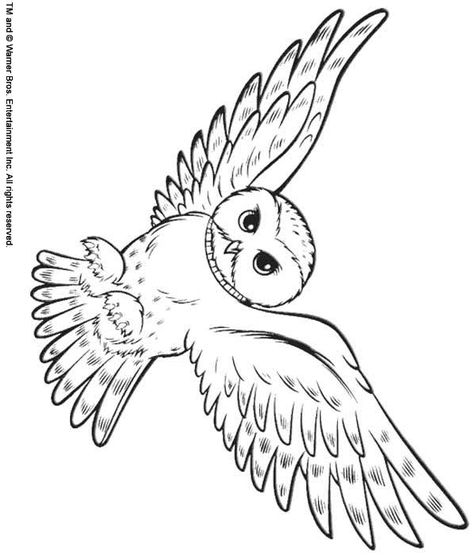 back ♥ Print this Snowy Owl color page Animal coloring pages ... Edwige Harry Potter, Carte Harry Potter, Harry Potter Coloring Pages, Harry Potter Theme Birthday, Cumpleaños Harry Potter, Harry Potter Owl, Harry Potter Bday, Harry Potter Classroom, Owl Coloring Pages