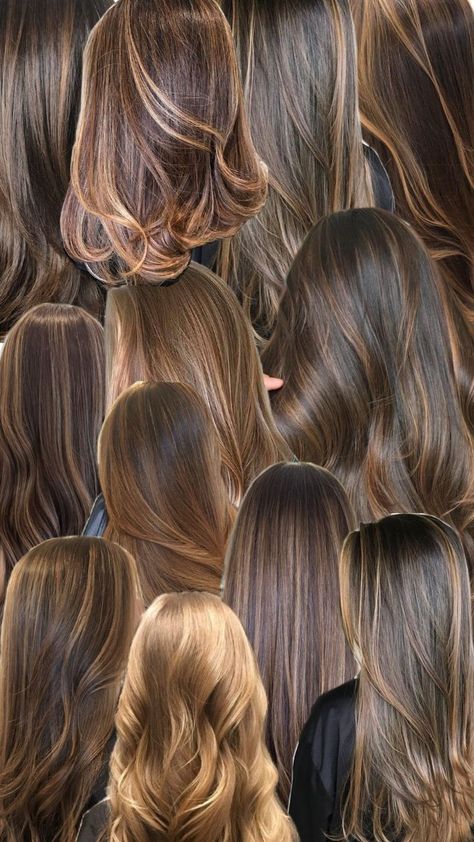 I LOVE HOW CARMEL HIGHLIGHTS LOOK ON PEOPLE 🛐🛐 Carmel Highlights, Honey Brown Hair, Highlights Hair, Highlights Brown Hair, Look On, Hair Highlights, Hair Inspo, Brown Hair, Hair And Nails