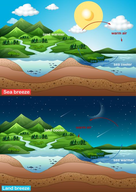 Land Breeze And Sea Breeze, Land Resources, 6th Grade Science, Water Pictures, Science Chemistry, Weather And Climate, Girly Drawings, Scientific Method, Sea Breeze