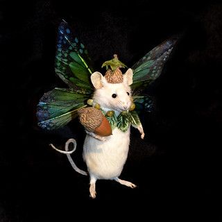 Butterfly Mouse | Denise Kendig | Flickr Terrible Taxidermy, Mouse Taxidermy, Funny Taxidermy, Fairy Mouse, Funny Rats, Mouse Pictures, Funny Mouse, Mouse Crafts, Taxidermy Art