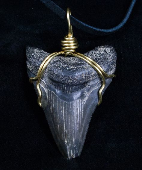 Wire Wrapped Megalodon Tooth Necklace How To Make Shark Tooth Necklace, Wire Wrapped Shark Tooth Pendant, Shark Necklace Tooth, Shark Teeth Jewelry, Megladon Tooth Necklace, Megalodon Shark, Shark Tooth Pendant, Wrap Shorts, Megalodon Tooth