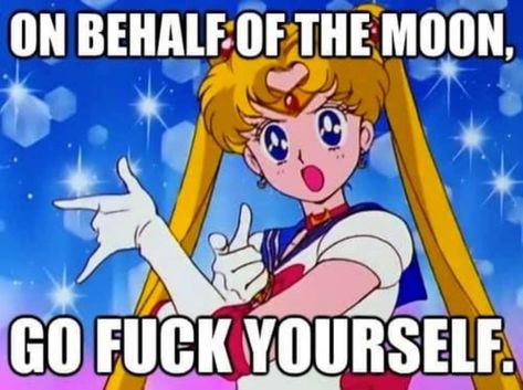 Sailor Moon Pose, Sailor Moon Meme, Birthday Anime, What Is Evil, Picture Mix, Sailor Moon Cosplay, Happy Birthday Meme, Hate Men, Birthday Meme