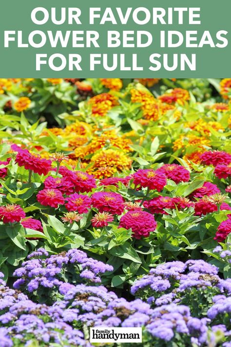 Annual Flower Beds Design, Corner Flower Bed, Annual Flower Beds, Full Sun Landscaping, Flower Bed Plants, Full Sun Garden, Full Sun Flowers, Front Flower Beds, Annual Garden