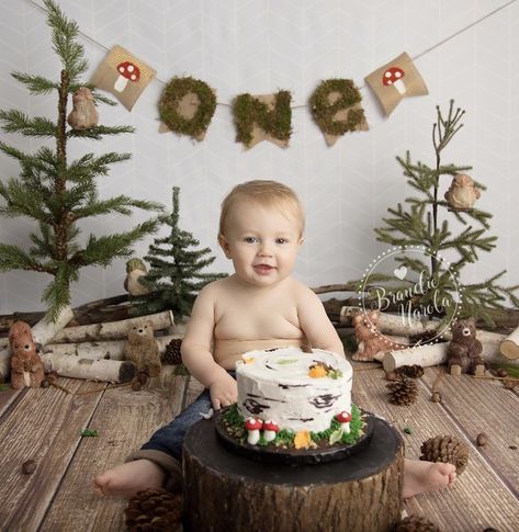 Woodland cake smash Woodland Cake Smash, Woodland Theme Cake, Forest Birthday Party, Cake Photoshoot, Cake Smash Theme, Cake Boy, Woodland Cake, Forest Birthday, Boys First Birthday Party Ideas