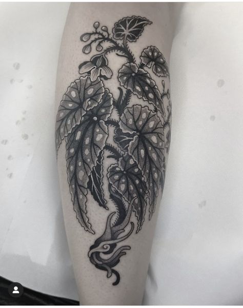 Begonia Tattoo Black And White, Begonia Drawing, Carnivorous Plant Tattoo, Begonia Tattoo, Angel Wing Begonia, Plant Tattoos, Botanical Tattoos, Fern Tattoo, Plant Bud