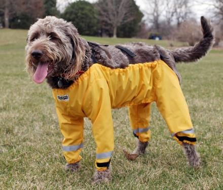 Bottom Half Dog Pants Cheap Raincoats, Dog Cave, Dog Pants, Spoiled Pets, Waterproof Pants, Unique Gadgets, Dog Raincoat, Travel Pants, Raincoats For Women