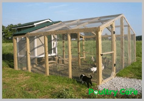 Chicken Coop Roof, Simple Chicken Coop, Chicken Run Plans, Building A Chicken Run, Chicken Coop Plans Free, Chicken Coop Pallets, Easy Chicken Coop, Portable Chicken Coop, Chicken Pen