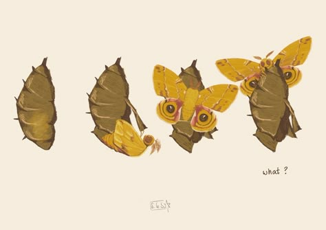 moth emerging from cocoon, confused . #illustration #meme #artist #artistsoninstagram #art #moth #nature #bug #comedy #procreate Cocoon Illustration, Cocoon Art, Moth Cocoon, Architecture Studies, Butterfly Illustration, Moth, Architecture, On Instagram, Quick Saves