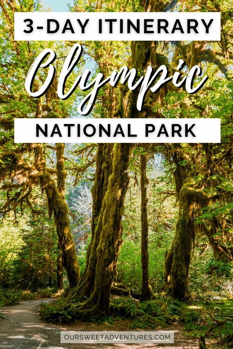 My 3 days in Olympic National Park itinerary is detail orientated with everything you need to know to plan your trip. It includes how to get there, where to stay, eat, the best things to do, and more. #OlympicNationalPark #Travel | Hoh Rain Forest | Hurricane Ridge | Rialto Beach | Hole in the Wall | Ruby Beach | Mount Storm King | Sol Duc Falls | Sol Duc Hot Springs | Lake Crescent | Waterfalls | Olympia National Park, Olympic National Park Itinerary, Olympic National Park Hikes, Washington Road Trip, National Park Hikes, Washington State Hikes, Washington Vacation, National Park Itinerary, Olympic National Park Washington