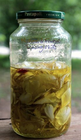 A DIY Life: Honeysuckle infused oil – A honey of an idea – Natural Frugal: Raising 6 kids September Moon, Flower Infused Oil, Honeysuckle Essential Oil, Deodorant Recipes, Chest Rub, Infused Oil, Jasmine Oil, Oil For Hair, Infused Oils