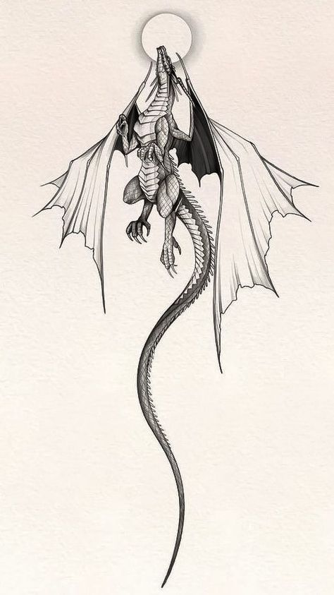 Midevil Dragon Tattoos, The Thirteen Tog Tattoo, Dragon Tattoo Designs Sketches, Small Dragon Drawing, Small Dragon Tattoo Designs, Geometric Dragon Tattoo, Dragon Sketch Tattoo, European Dragon Tattoo, Dragon Tattoo Game Of Thrones