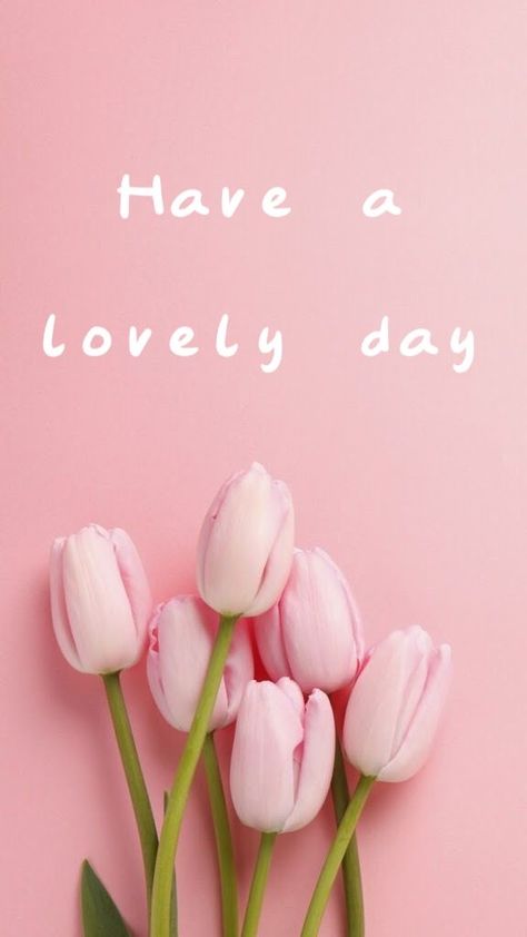 Have A Nice Day Quotes, Have A Nice Day Images, Greetings For The Day, Funny Happy Birthday Song, Hello Tuesday, Inspirational Good Morning Messages, Good Night Wallpaper, Good Morning Tuesday, Beautiful Morning Quotes