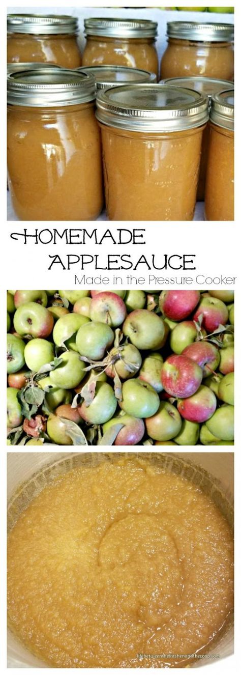 homemade applesauce How To Can Applesauce, Applesauce Recipes Canning, Can Applesauce, Fermenting Recipes, Canning Applesauce, Make Applesauce, Canned Applesauce, Canning Apples, How To Make Applesauce