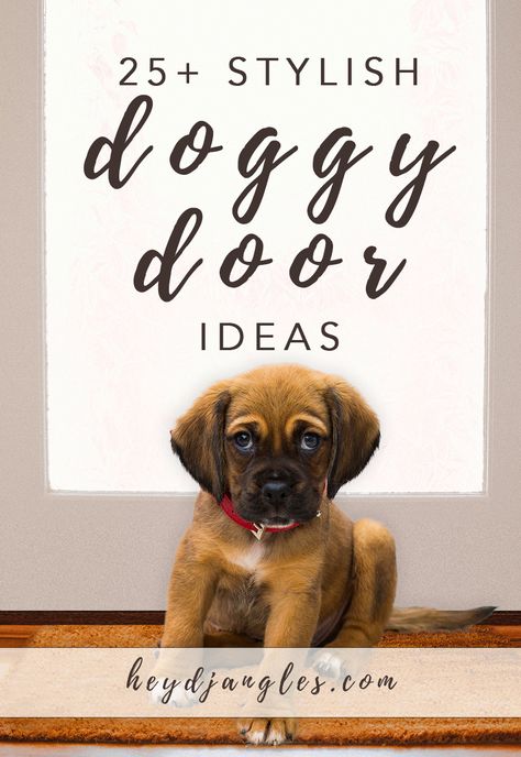 Interior Dog Door, Doggie Door In Glass Door, Creative Dog Door Ideas, Dog Doors Ideas, Doggie Door Ideas In Wall, Pet Door Ideas, Dog Door Ideas In Wall, Doggie Door Ideas, Dog Door Ideas