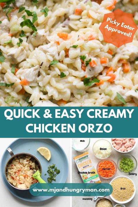 Orzo Baby Recipes, Quick Healthy Meals For Family, Chicken Recipe For Toddler, Toddler Orzo Recipe, Dinner For 13 Month Old, Baby Led Weaning Family Meals, Toddler Casserole Recipes, Infant Lunch Ideas, Blw Family Dinners