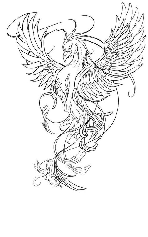 A Phoenix Tattoo, Tato Geisha, Phoenix Drawing, Phoenix Tattoo Feminine, Phoenix Bird Tattoos, Phoenix Tattoo Design, Muster Tattoos, Tatuaje A Color, Tattoo Stencil Outline