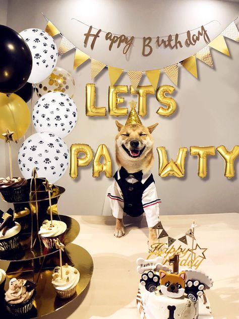 Legendog Dog Birthday Party Supplies Dog Paw Print Balloons Cat Birthday Hat Happy Birthday Banner Foil Balloons Lets Pawty Letters Balloons Decorations *** For more information, visit image link.-It is an affiliate link to Amazon. #dogcamerasandmonitors Dog Birthday Celebration, Dog Birthday Balloons, Dog Birthday Ideas Decorations, Dog Bday Party Ideas, Dog Birthday Decorations, Pet Birthday Party, Lets Pawty, Dog Party Decorations, Boys Birthday Party Decorations