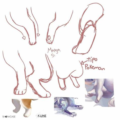 Cat Fursona Ref Sheet, Feral Poses Reference, Anthro Anatomy, Cat Drawing Tutorial, Drawing Examples, Art Tools Drawing, Sketches Tutorial, Drawing Expressions, Creature Concept Art