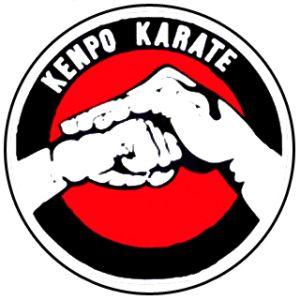 I use to take Martial Art Karate Logo, Kempo Karate, Kenpo Karate, Oc Board, Shadow Warrior, Natural Drinks, Martial Art, Juventus Logo, Taekwondo