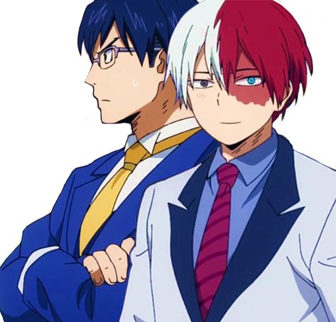 Todoroki And Iida, Iida Tenya, Tenya Iida, Mha Ships, Hero Academia Characters, Most Favorite, Bird Feathers, Hero Academia, My Hero Academia