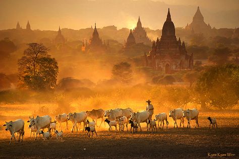 ဂျပန်ဂတုံး Photo, သကြန် Photo, Bagan Photo, Myanmar Places, Myanmar Photo, Google Backgrounds, Cultural Tourism, Bagan Myanmar, Evening View