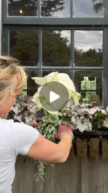 Hungry for Home on Instagram: "In my latest episode with @homeworthy, “At Home with Ruth McKeaney | Country Gardens, Gorgeous Window Box Design Ideas, Shortbread Recipes,” I’m joined by my friend Eileen to plant a low-light window box on the side of our barn.   Eileen became my saving grace when we first moved to Hillside. She had a vision for the property and showed me how to make the most of the outdoor spaces that Hillside gifted us.   Watch the full episode on Homeworthy.com or  Homeworthy’s YouTube channel! . . . #Homeworthy #AtHomeWithRuthMcKeaney #Hillsidefarm #windowbox #smallgarden #windoxboxdesigns #planting #flowers" Window Box Design, Box Design Ideas, Hillside Farms, Light Window, Country Gardens, Shortbread Recipes, Saving Grace, Saved By Grace, Window Boxes