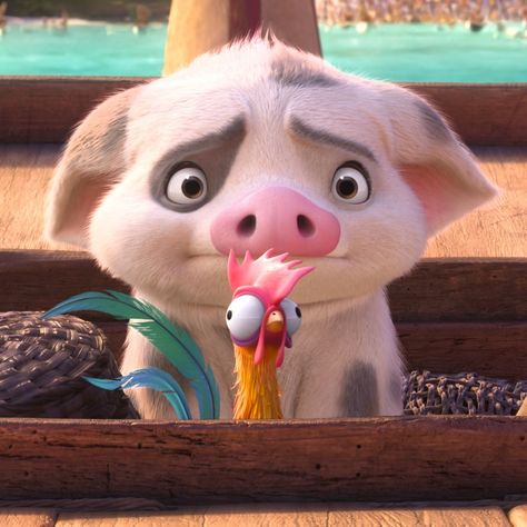 Disney Lovers! • Instagram Hei Hei And Pua, Disney Pig, Moana Pua, Moana Movie, Disney Animals, Disney Artwork, Disney Lover, Movie Trailers, Moana