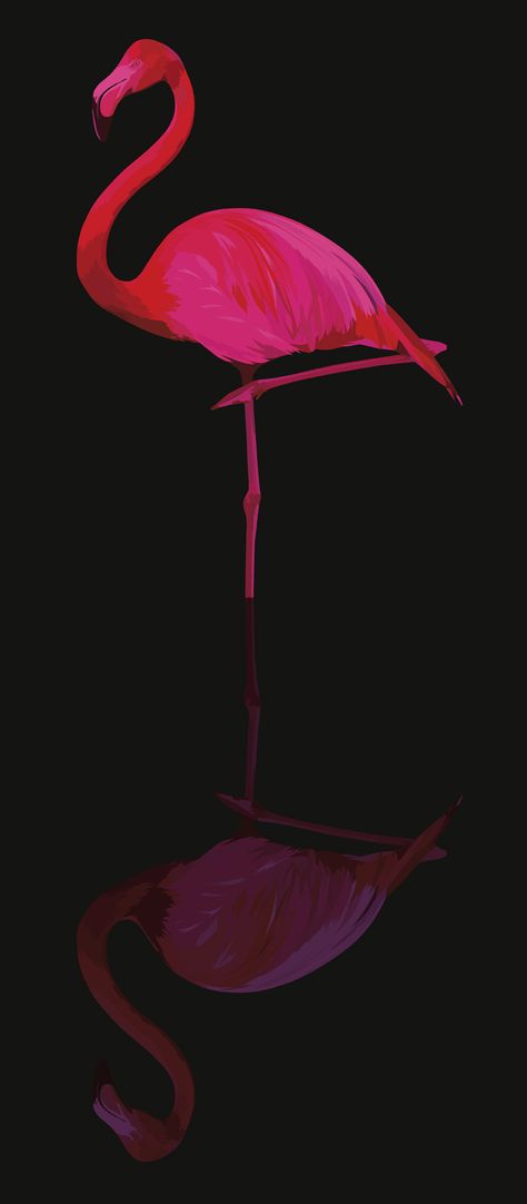 Flamingo Pictures, Flamingo Illustration, Behance Design, Flamingo Wallpaper, Wall Paper Phone, Flamingo Christmas, Flamingo Art, Pink Wallpaper Iphone, Pink Flamingo