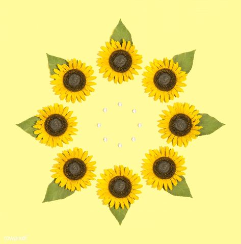 Sunflower decoration forming a circle | free image by rawpixel.com / Amy Shamblen Pastel Sunflower, Creative Director Portfolio, Sunflower Frame, Sunflower Background, Art Direction Advertising, Sunflower Images, Sunflowers Background, Minimal Photography, Still Photography