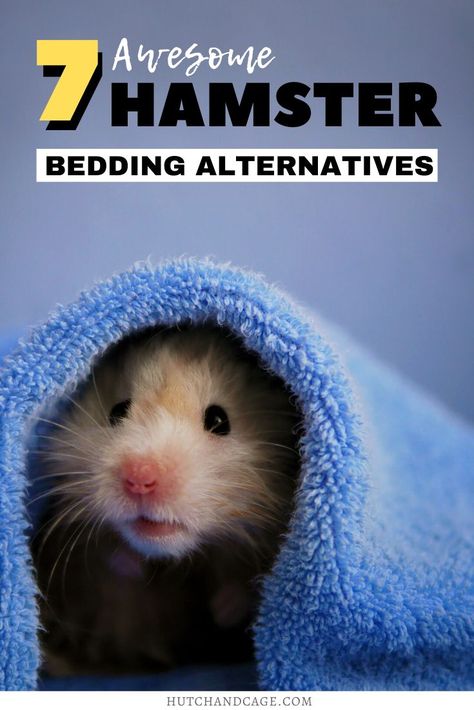 7 Awesome Hamster Bedding Alternatives. Find the best bedding for your hamster here! I pet hamster care I small animal care I hamster information I information on pet hamsters I what to do with pet hamsters I things to know about pet hamster I pet hamster tips I care tips for pet hamsters I small pet homes I bedding for hamsters I hamster products I products for hamsters I what to put in a hamster cage I #hamsters #pets #smallpets Diy Hamster Cage Accessories, Hamster Tips, Hampster Cage, Hamster Cage Ideas, Bed Alternatives, Hamster Ideas, Best Small Pets, Hamster Breeds, Rat Care