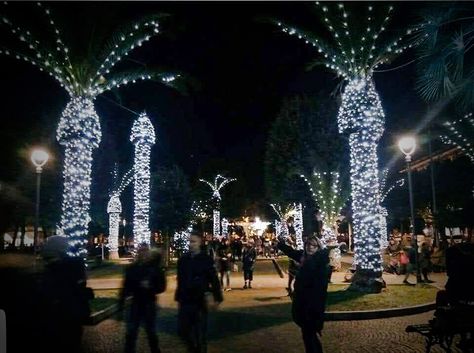 Palm Tree Christmas Lights, Christmas Palm Tree, Design Fails, Xmas Lights, One Job, Pisco, Humor Funny, Copyright Infringement, Source Unknown