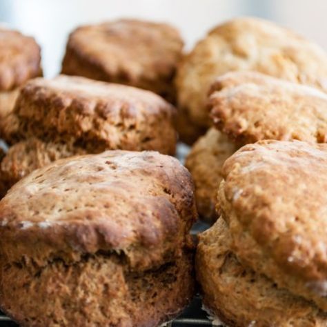 Treacle Scones Treacle Scones, Baileys Christmas, Old Fashioned Bread, Black Treacle, Traditional Christmas Cake, Berry Scones, Old Fashioned Bread Pudding, Scones Ingredients, Christmas Cake Recipes