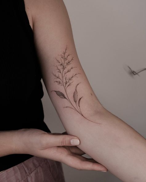 The very first tattoo for Mariana. Fully freehand ✍🏼 thank you for your trust, dear! Booking are open in Lisbon, I have last spot this year, text me with your idea! 💌 Botanical Tattoo Arm, Spanish Moss Tattoo, Moss Tattoo, Tattoo Arm Placement, Wildflower Tattoo, Botanical Tattoo, Tattoo Arm, Spanish Moss, First Tattoo