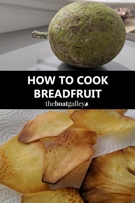 Bread Fruit Jamaican, Bread Fruit Recipes, Breadfruit Recipe Caribbean, Grenada Food, Breadfruit Recipe, Cuban Meals, Recipes Jamaican, Barbados Food, Hispanic Dishes